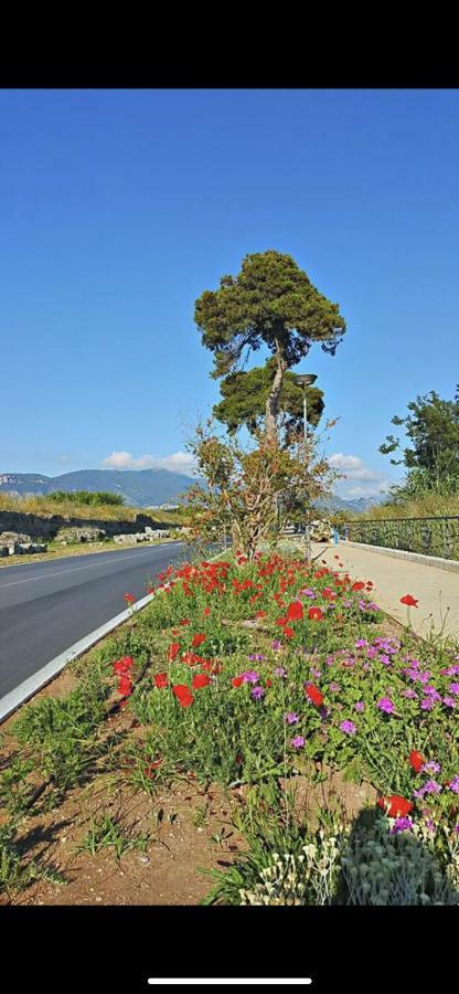 Villa Donatella Paestum Esterno foto